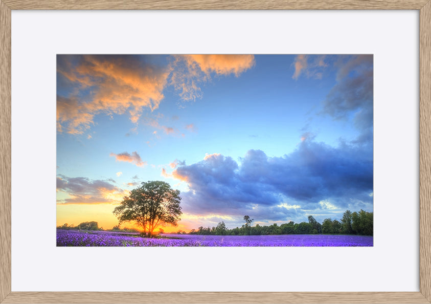 paper_frame