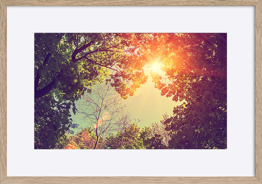 paper_frame