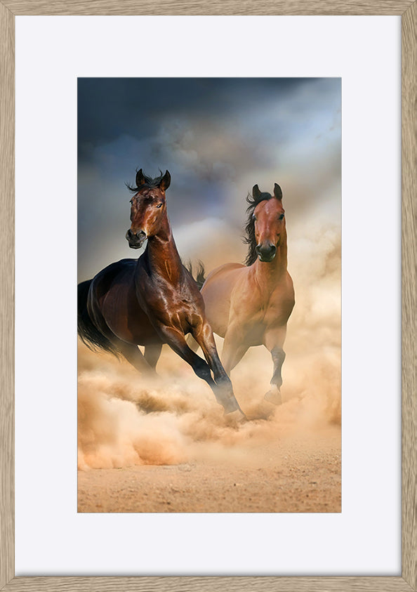 paper_frame
