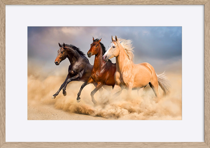 paper_frame