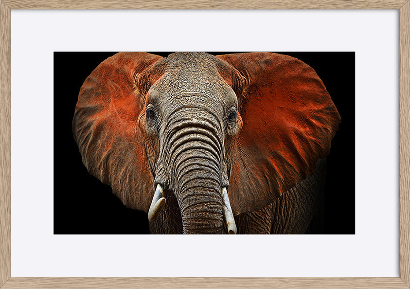 paper_frame