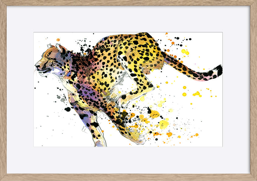paper_frame