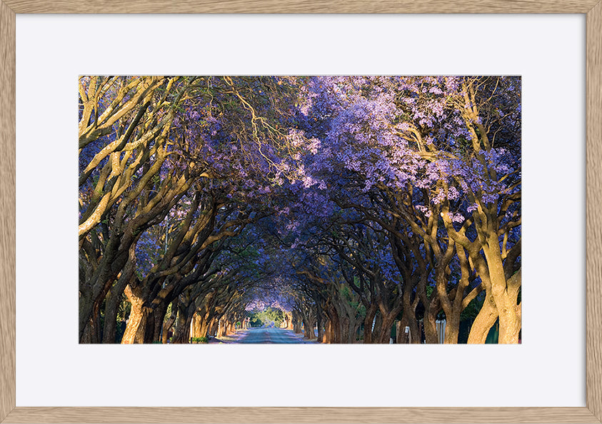 paper_frame