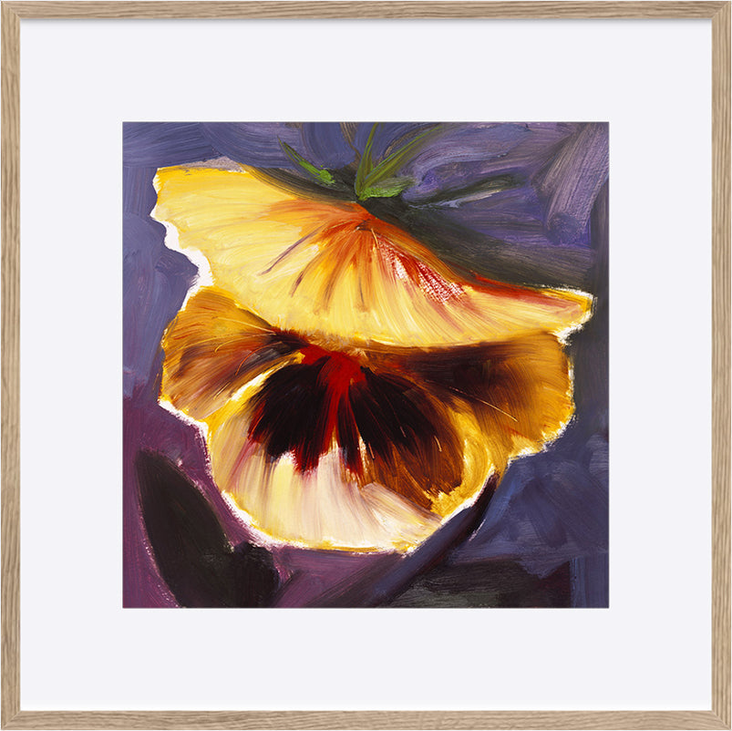 paper_frame