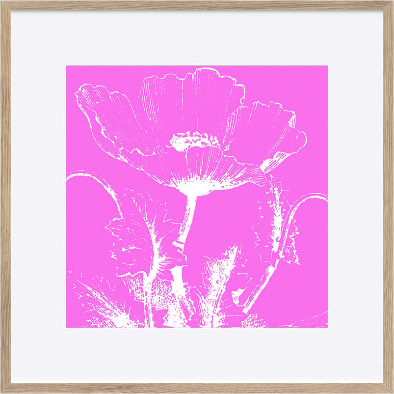 paper_frame