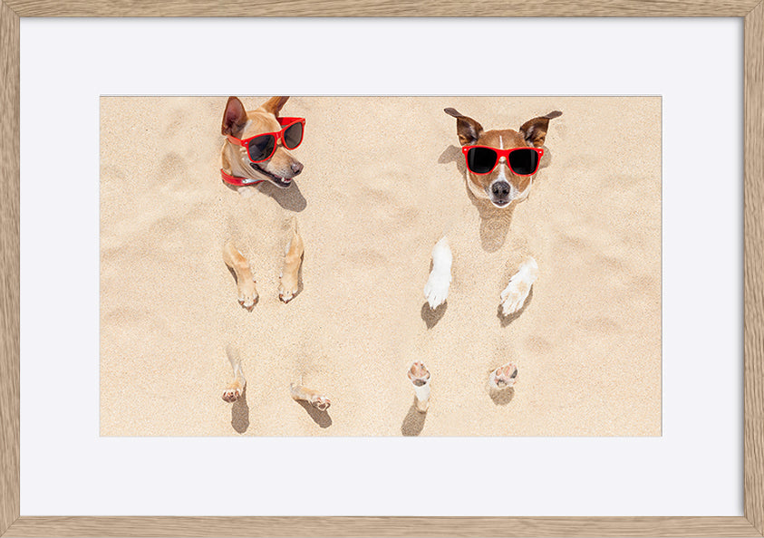 paper_frame