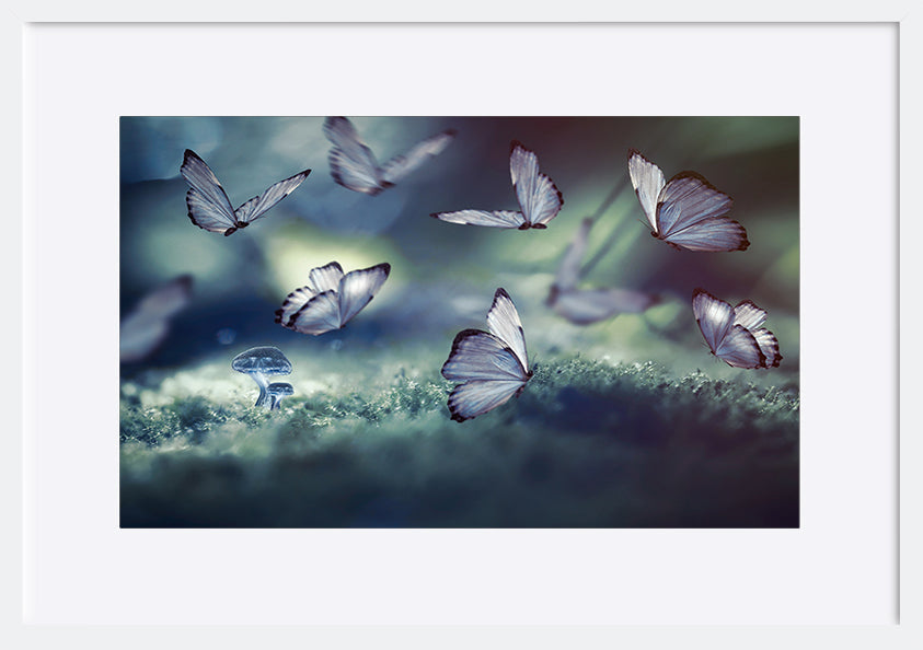 paper_frame