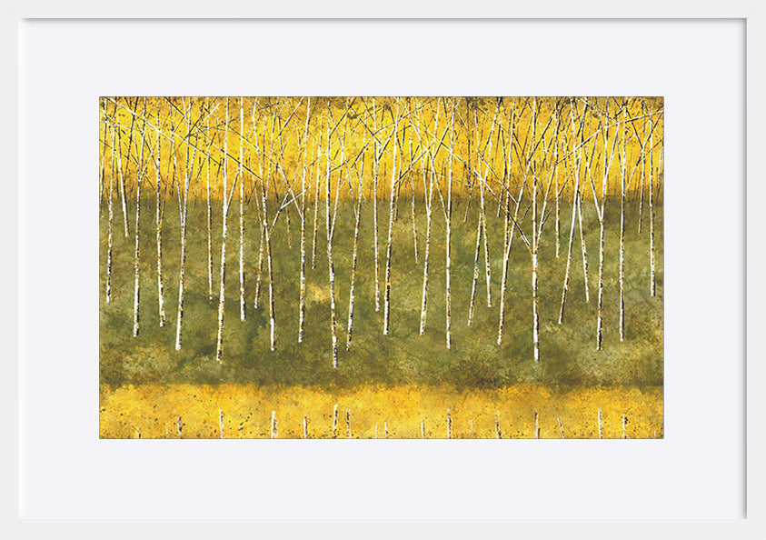 paper_frame