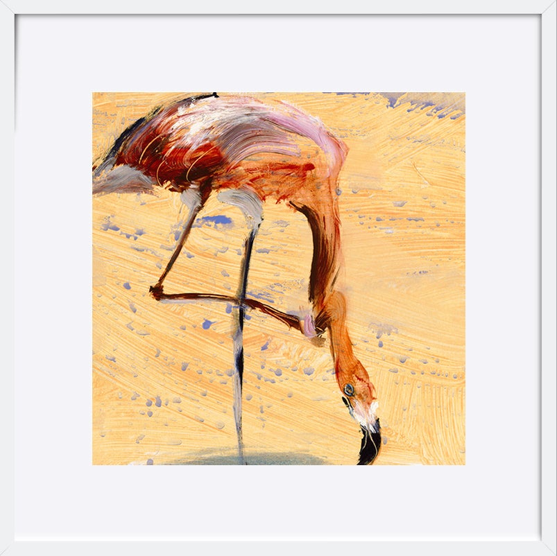 paper_frame