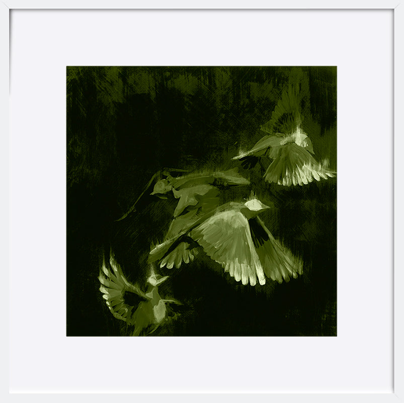 paper_frame