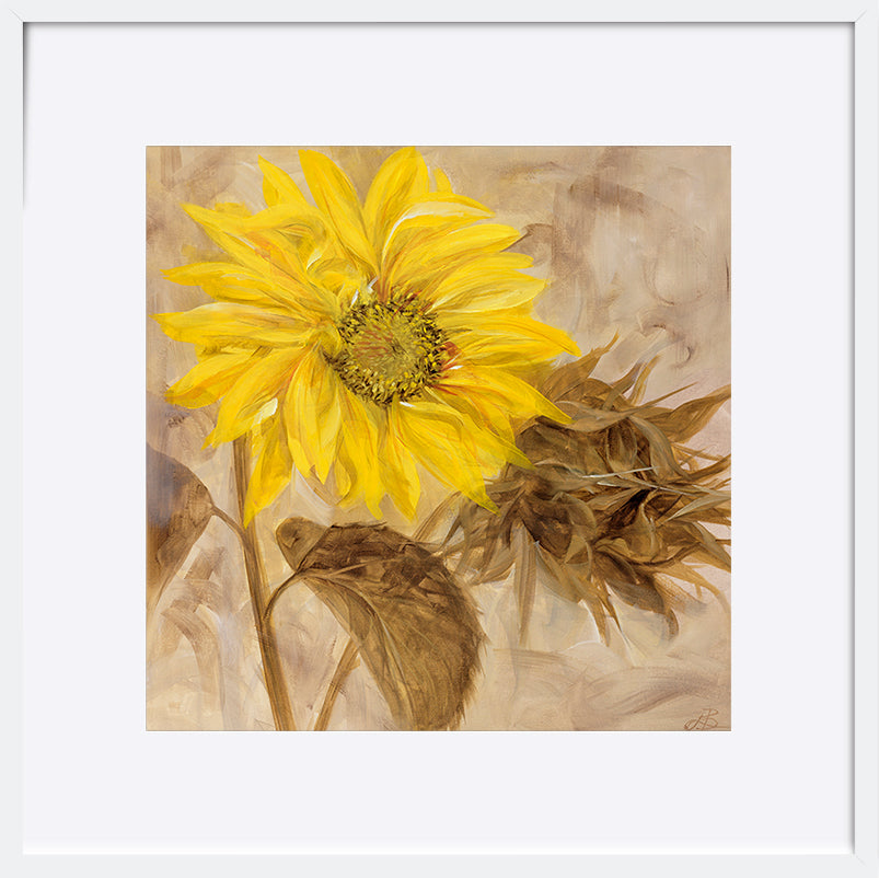 paper_frame