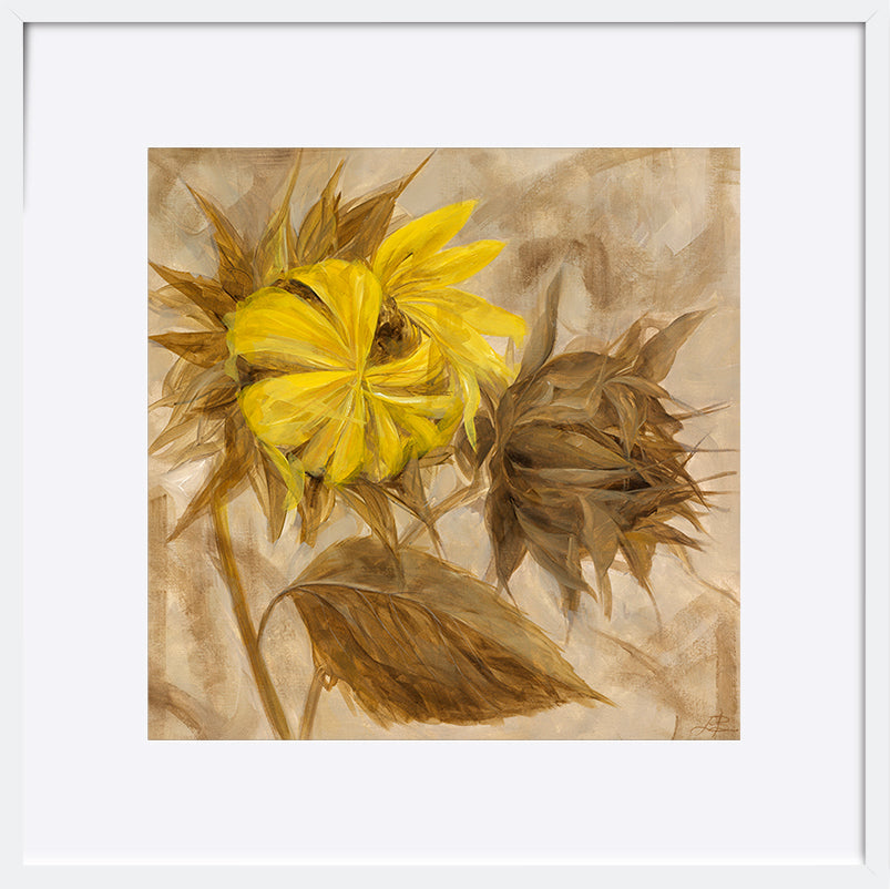 paper_frame
