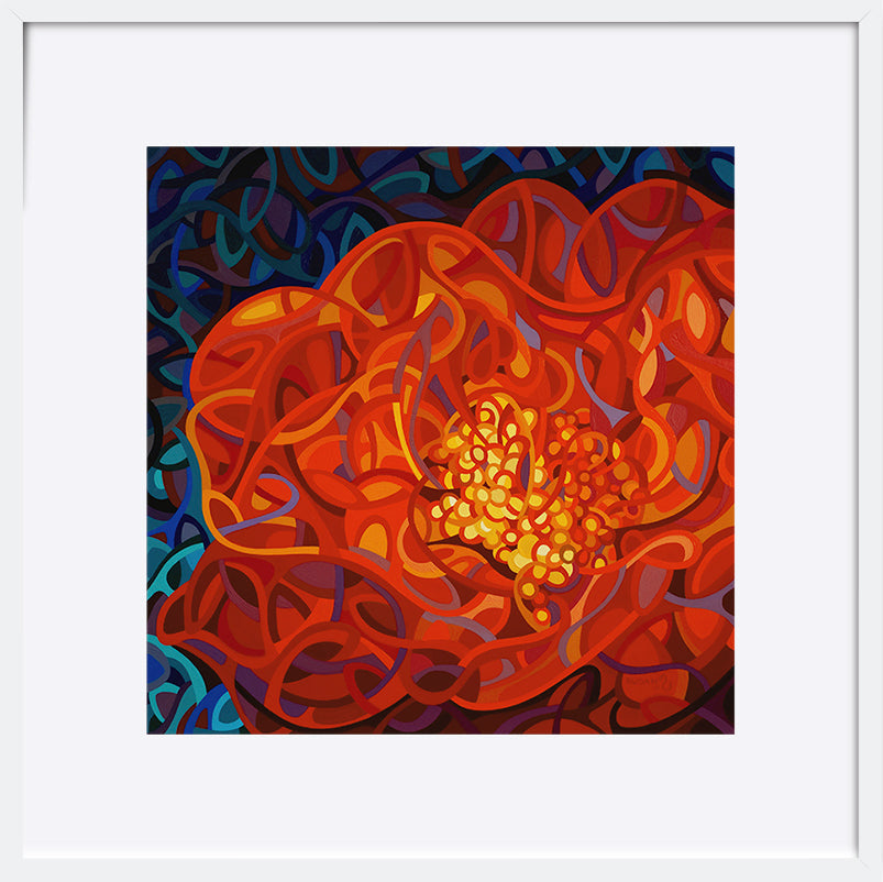 paper_frame