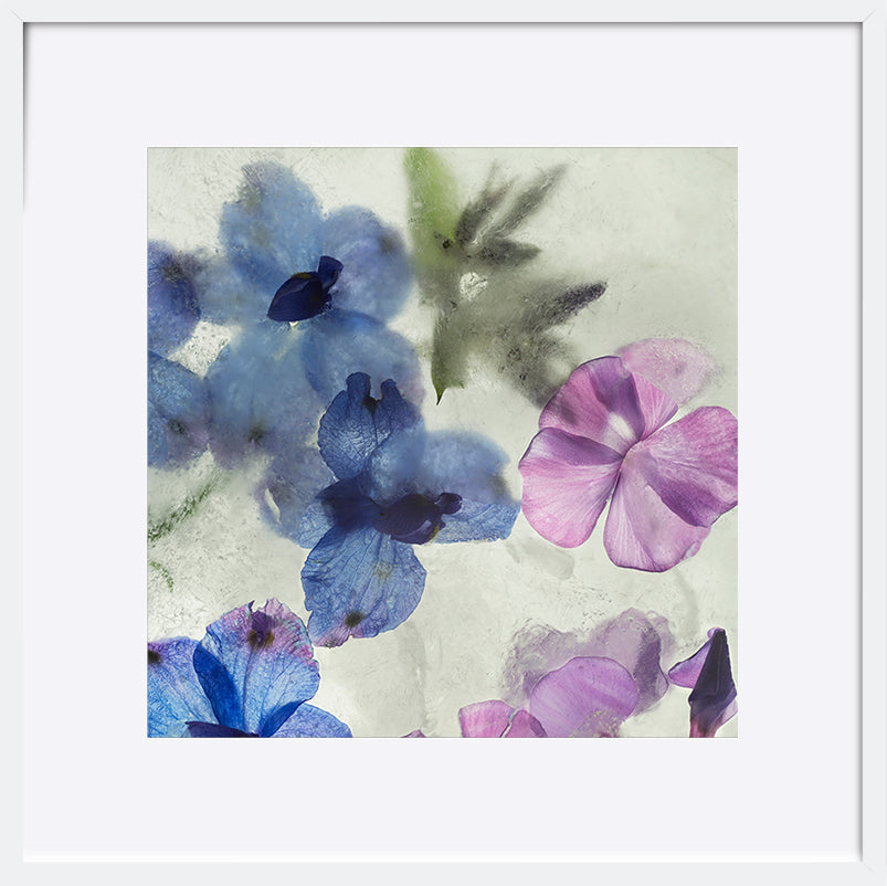 paper_frame