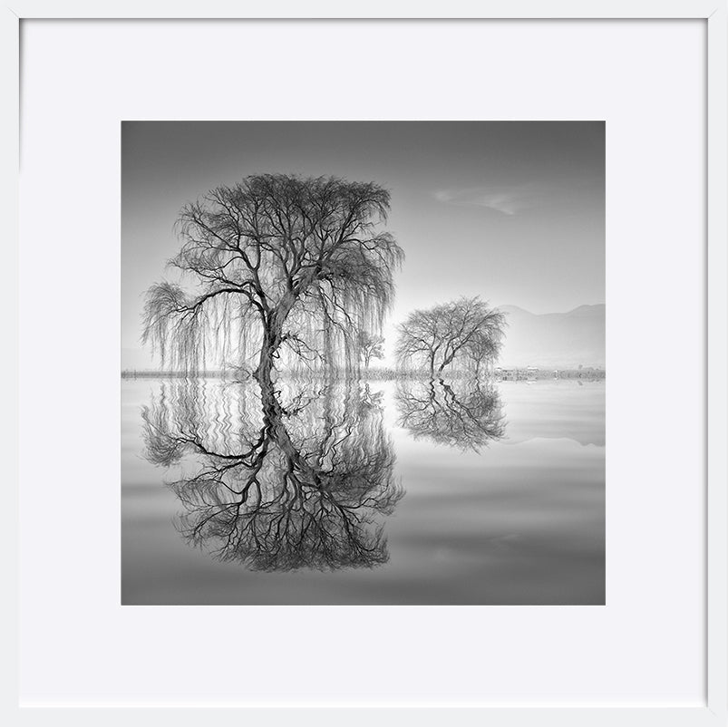 paper_frame