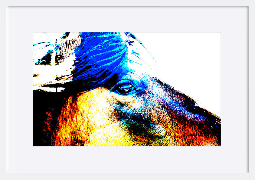 paper_frame
