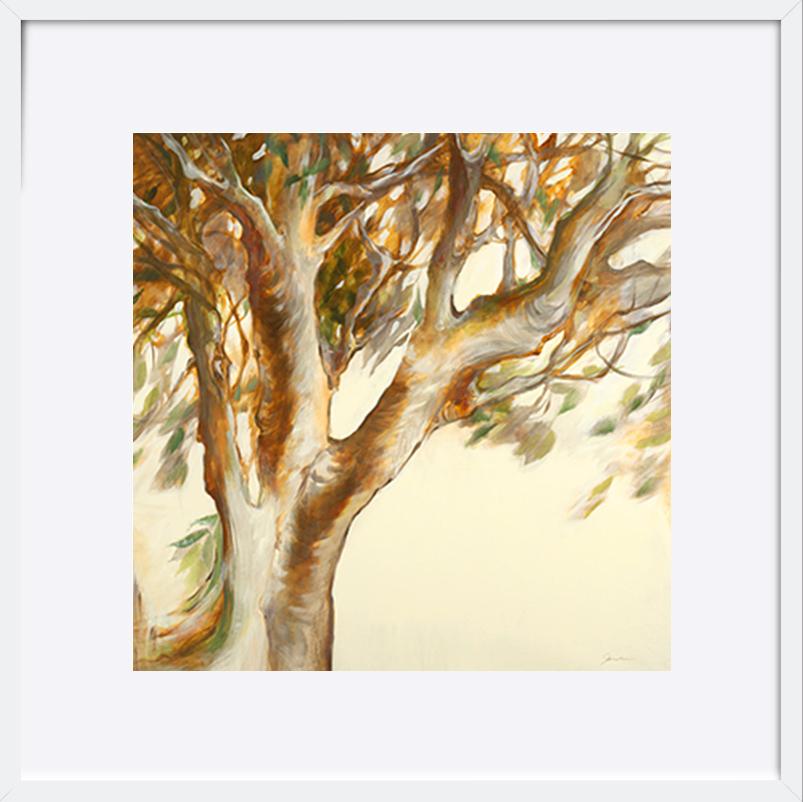 paper_frame