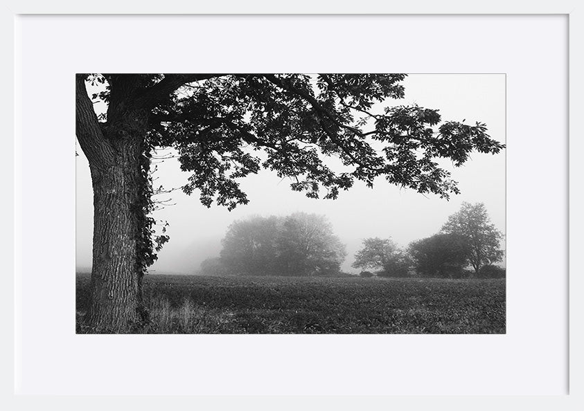 paper_frame