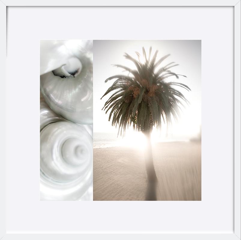 paper_frame