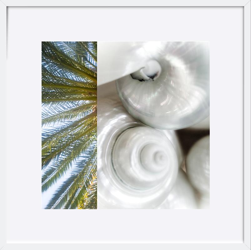 paper_frame