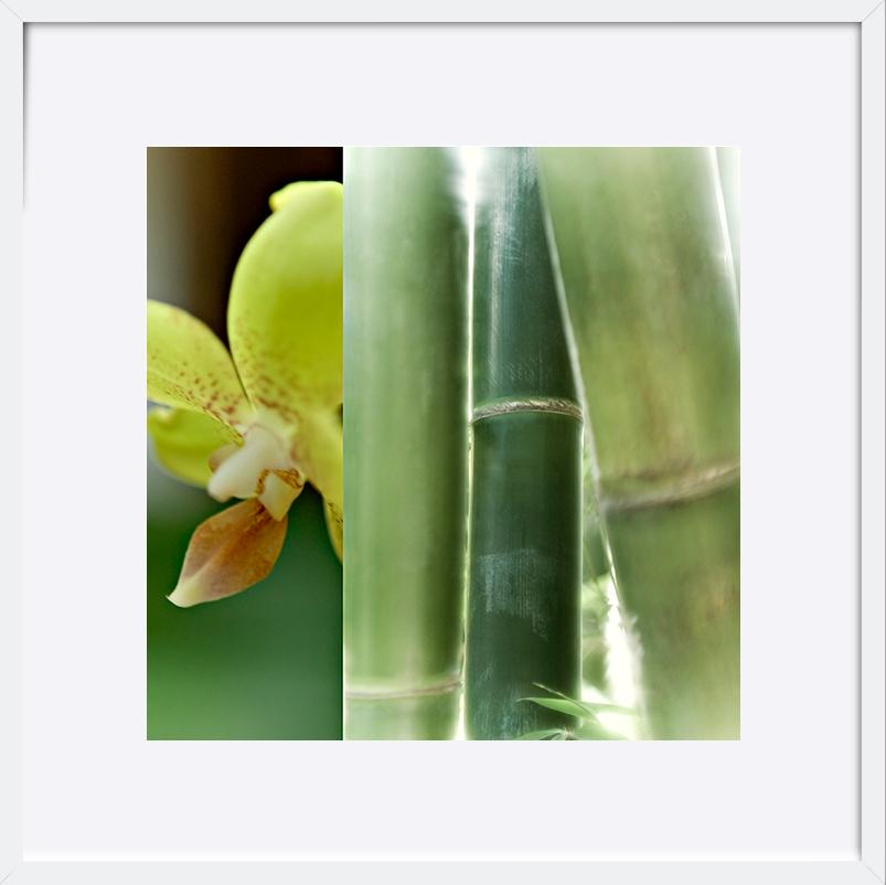 paper_frame