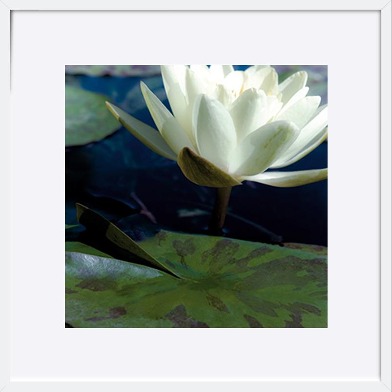 paper_frame