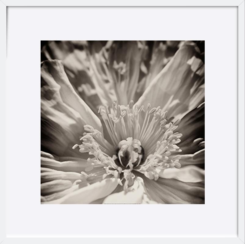 paper_frame