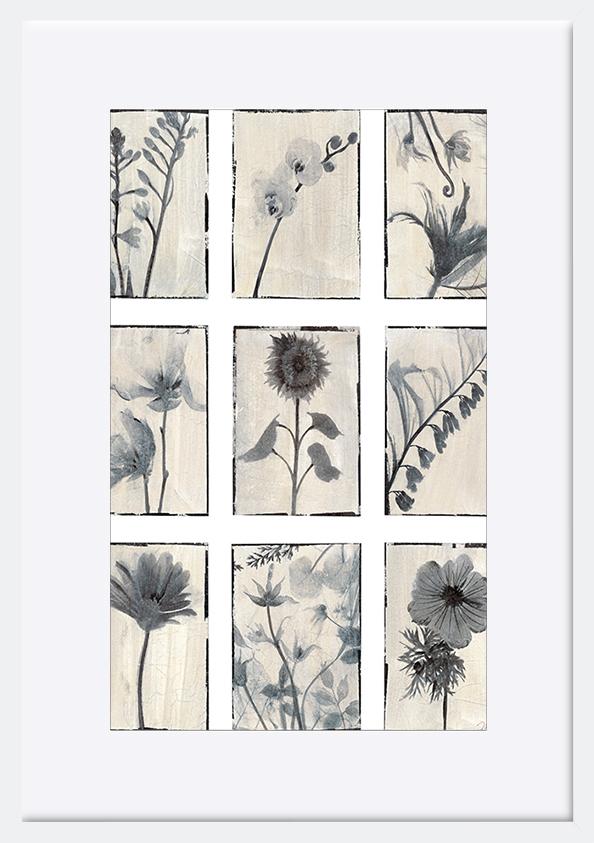 paper_frame