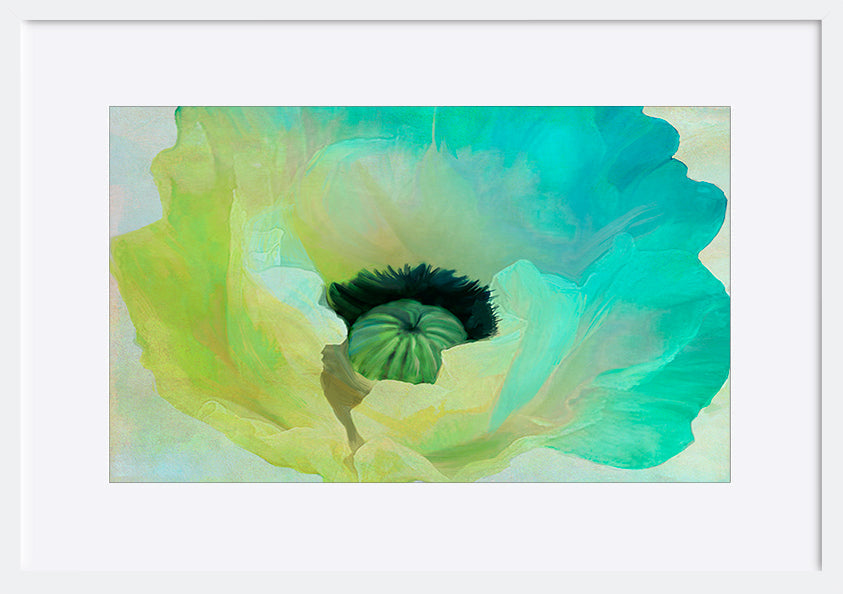 paper_frame