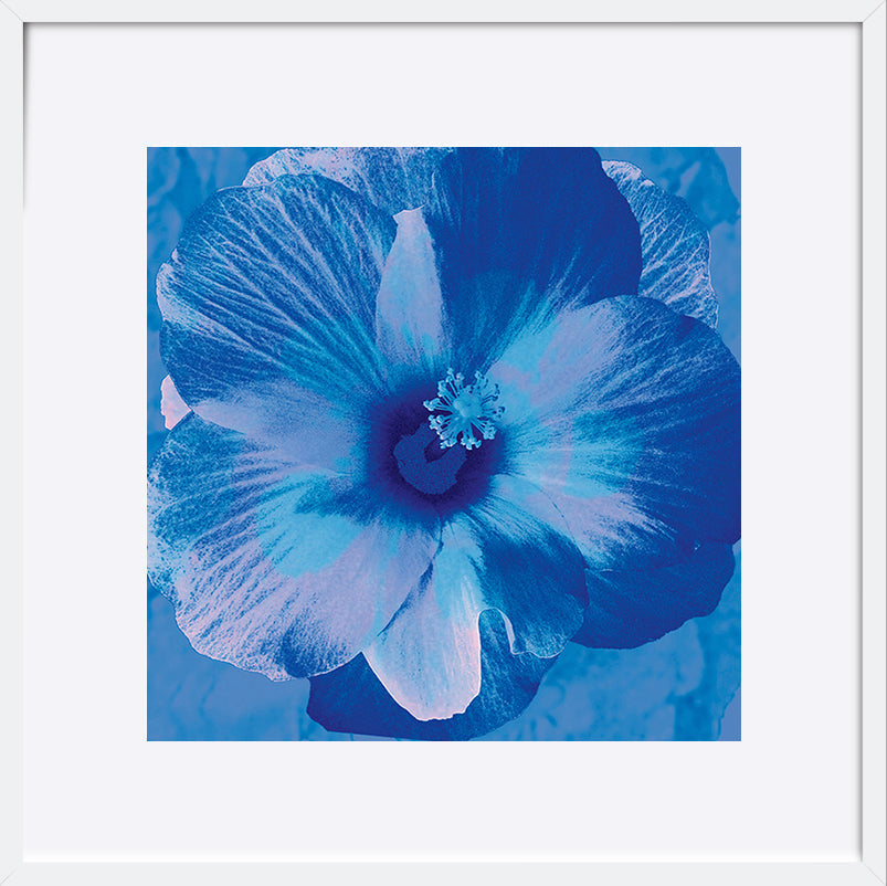paper_frame