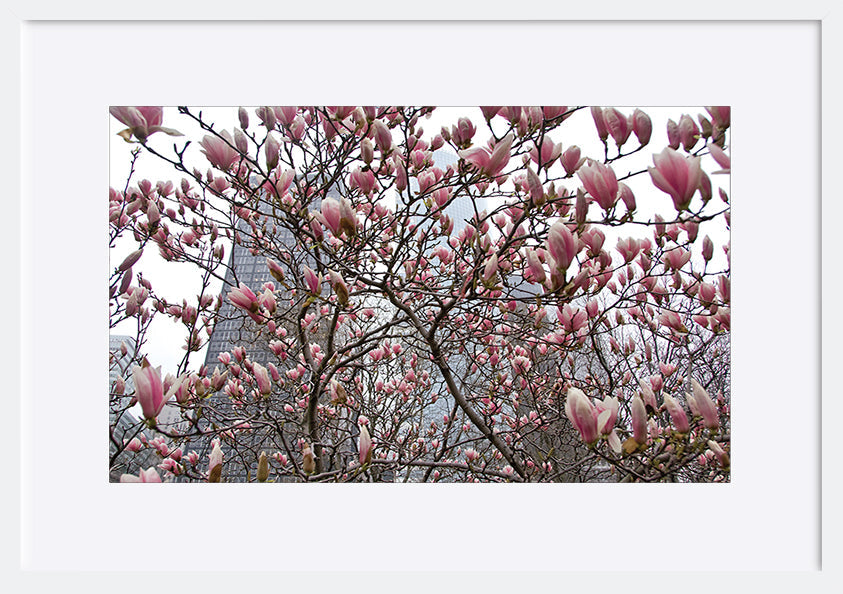 paper_frame