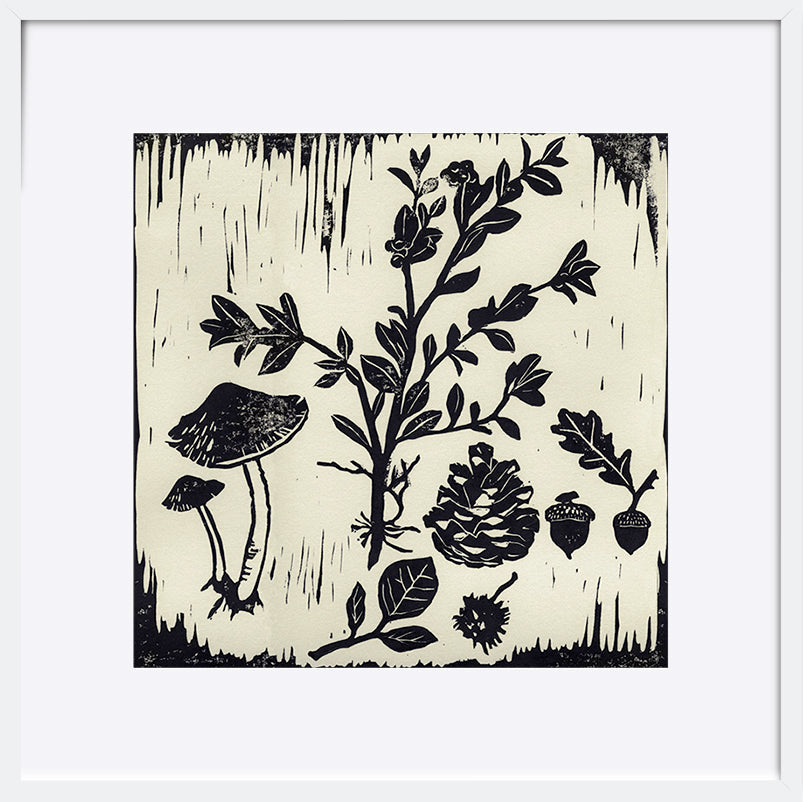 paper_frame