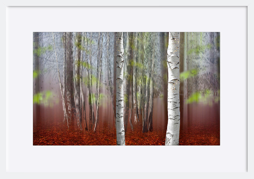 paper_frame