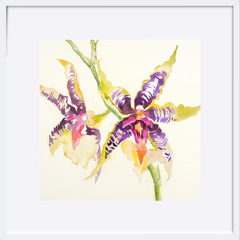 paper_frame