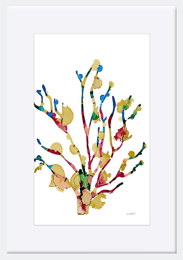 paper_frame