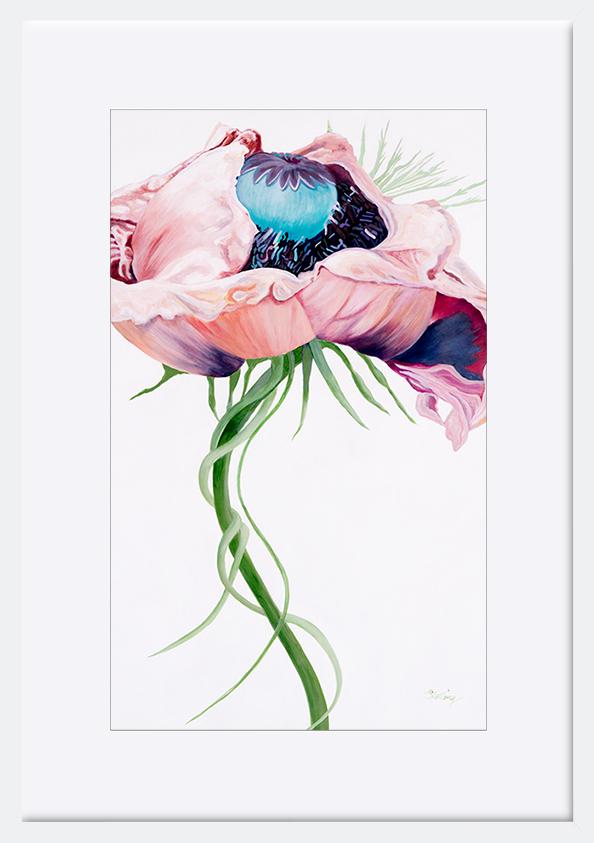 paper_frame