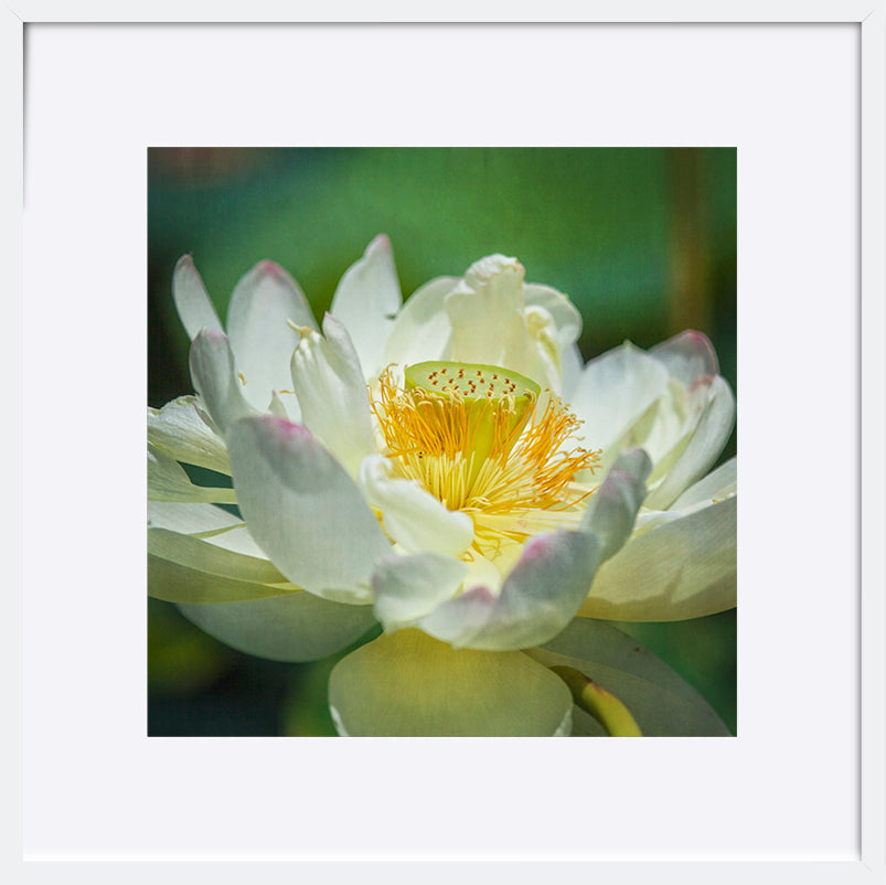 paper_frame