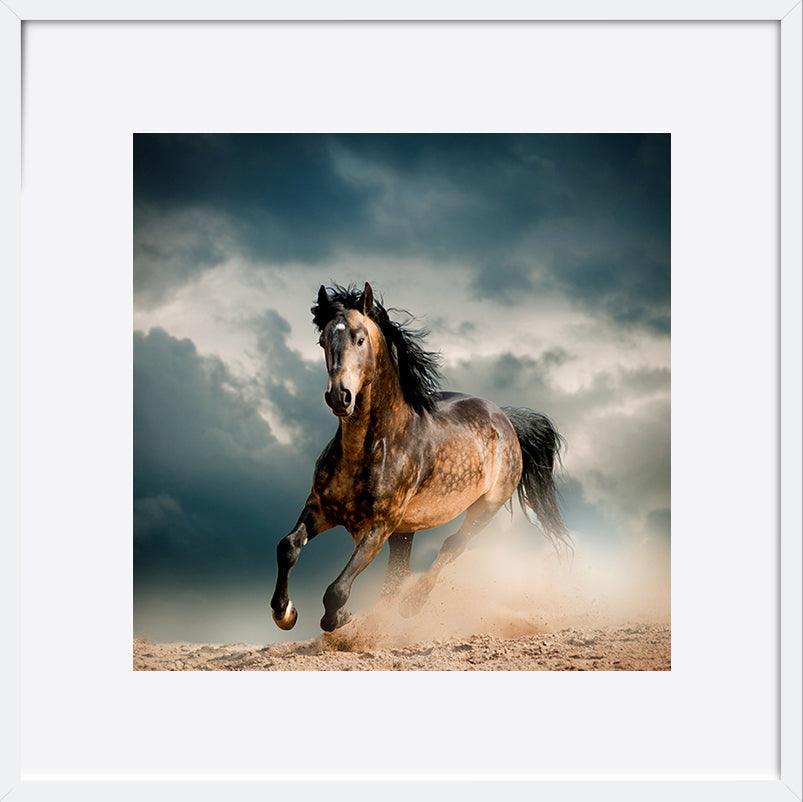 a59883082s horse running - ArtFramed