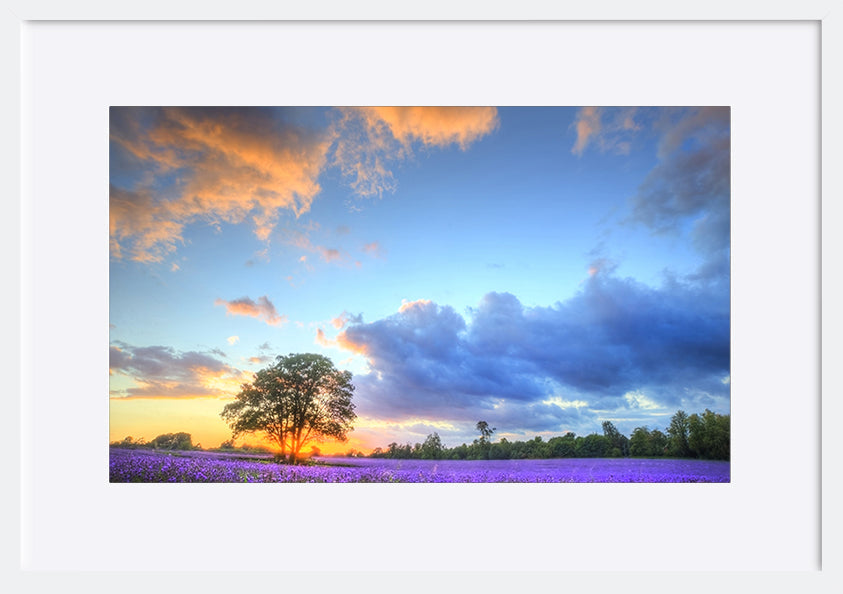 paper_frame