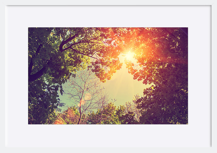 paper_frame