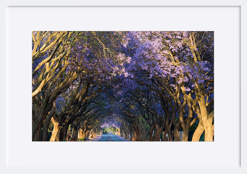 paper_frame