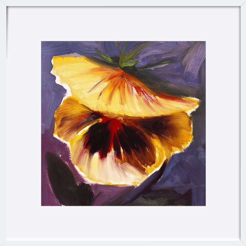paper_frame