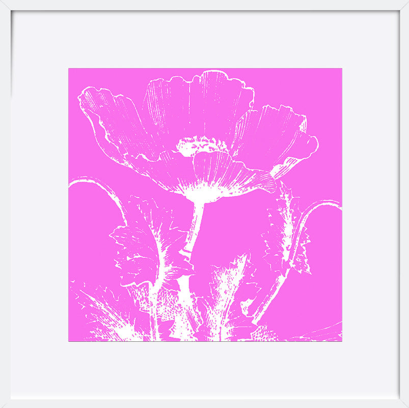 paper_frame