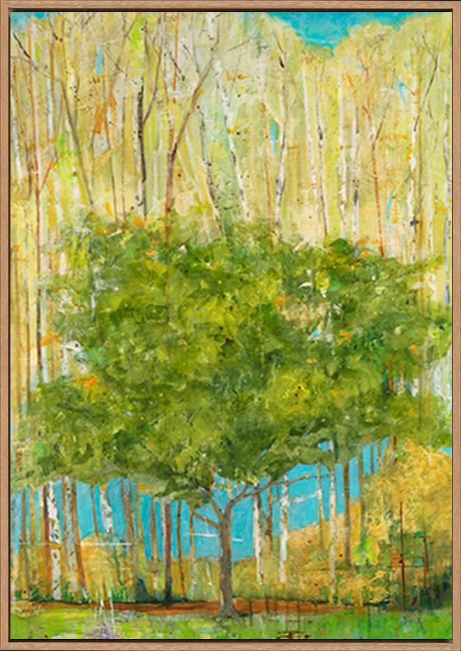 canvas_frame