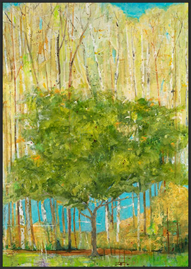 canvas_frame