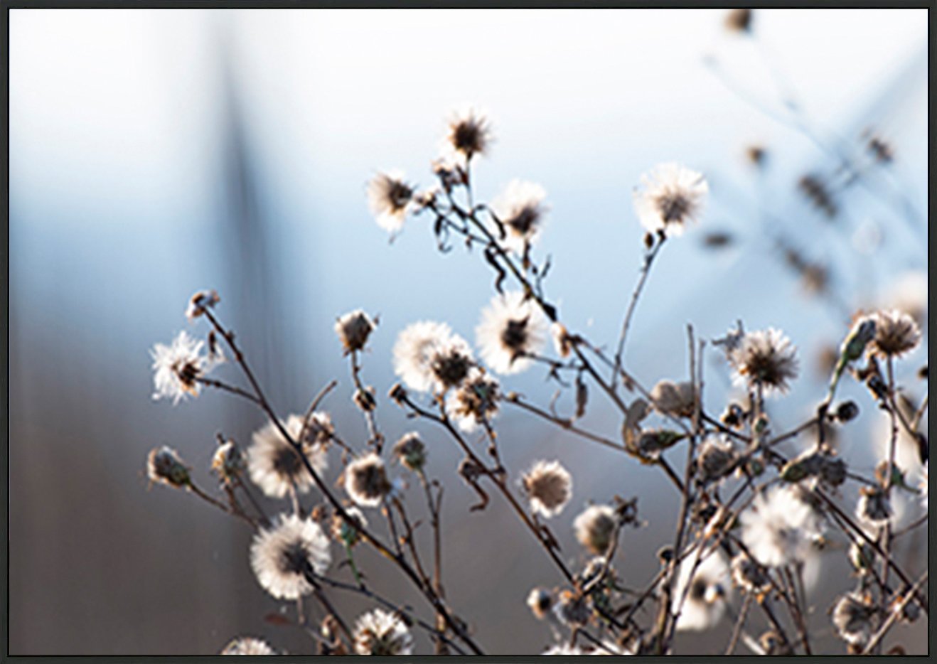 canvas_frame