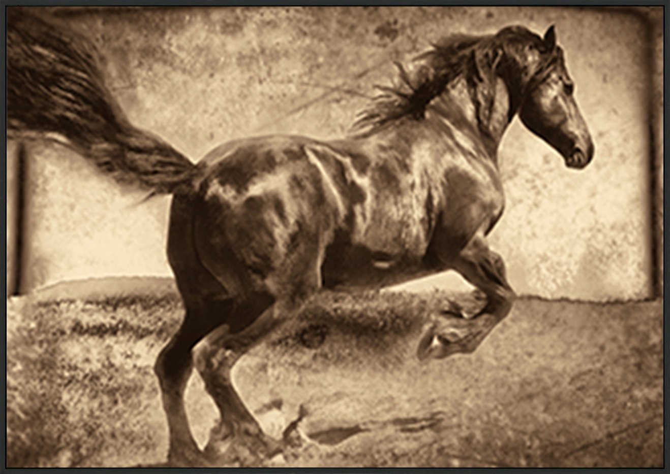canvas_frame
