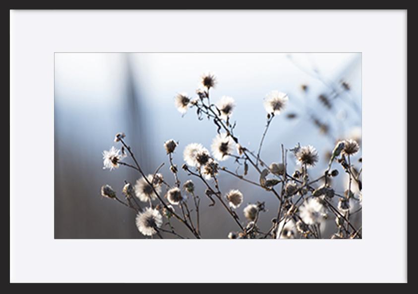paper_frame