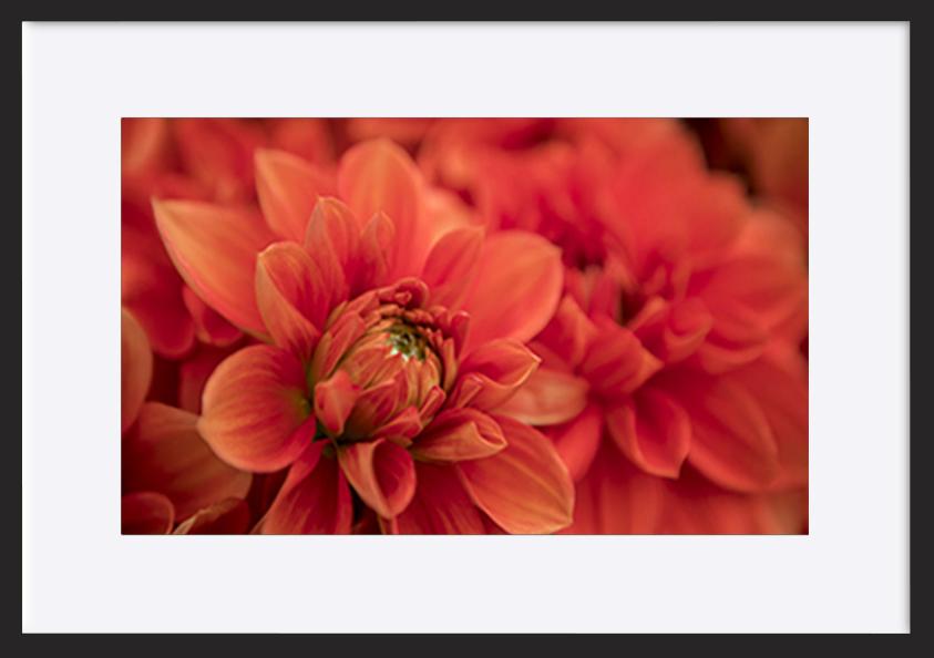 paper_frame