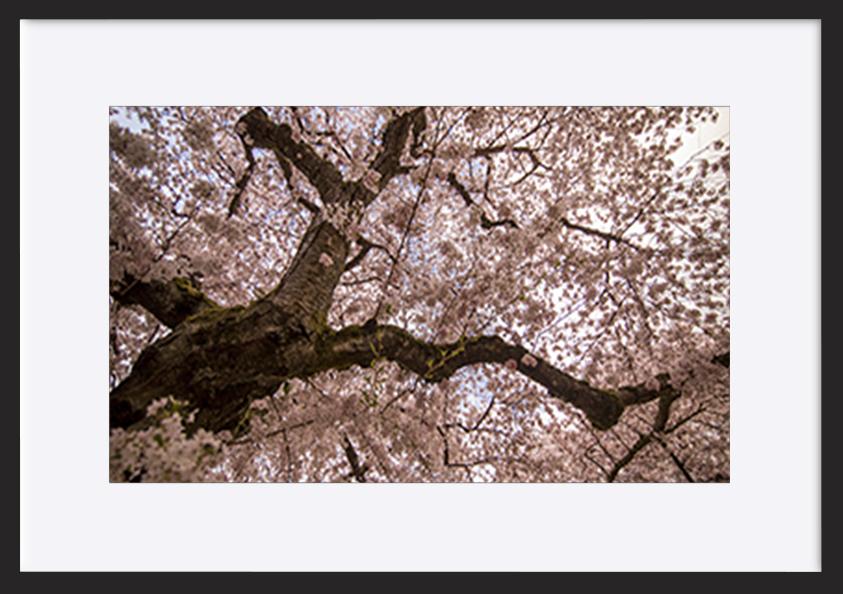 paper_frame